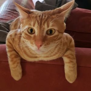 Meet your Posher, Conny